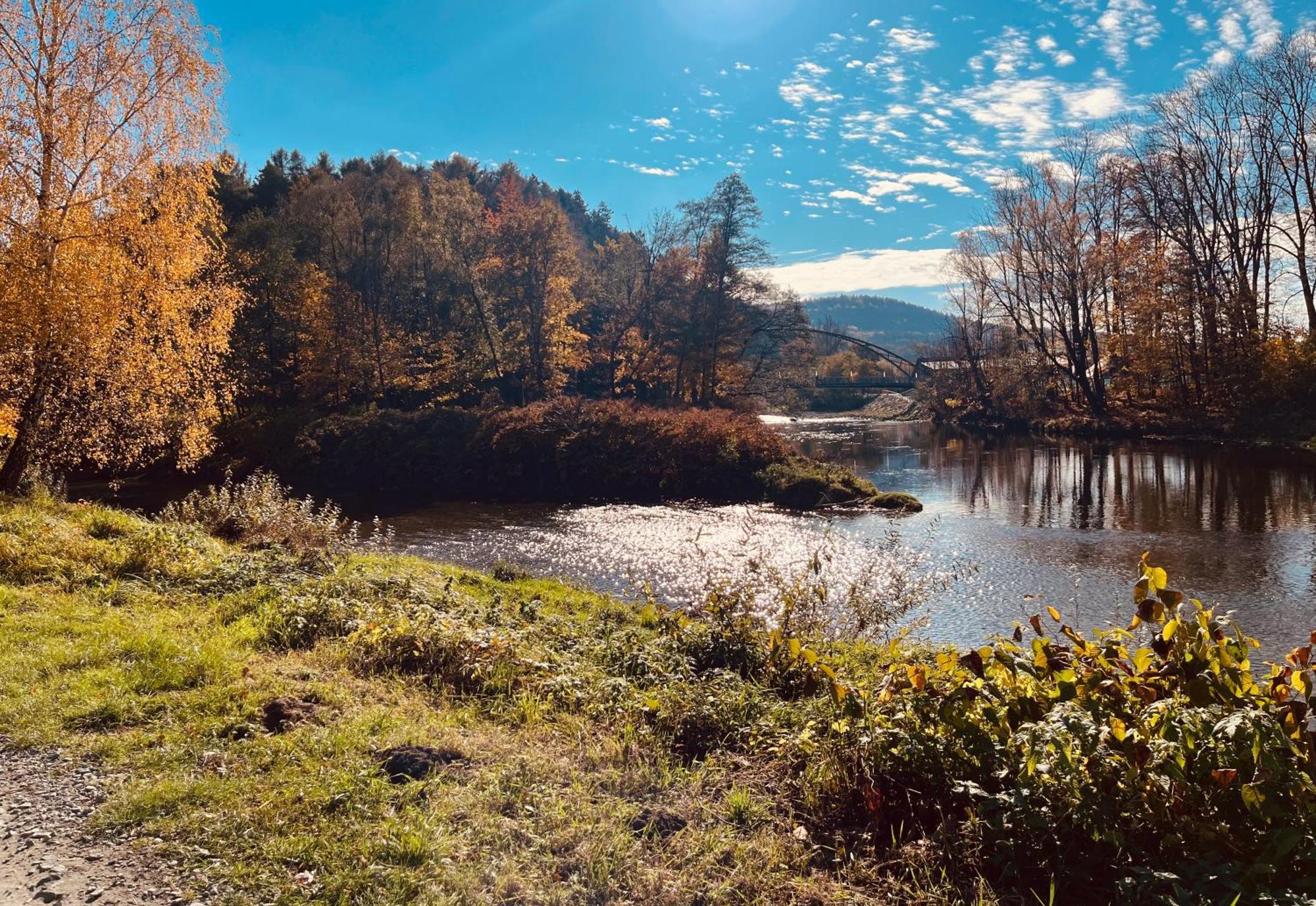 JAFERÓWKA Domki w górach Żywiec Exterior foto